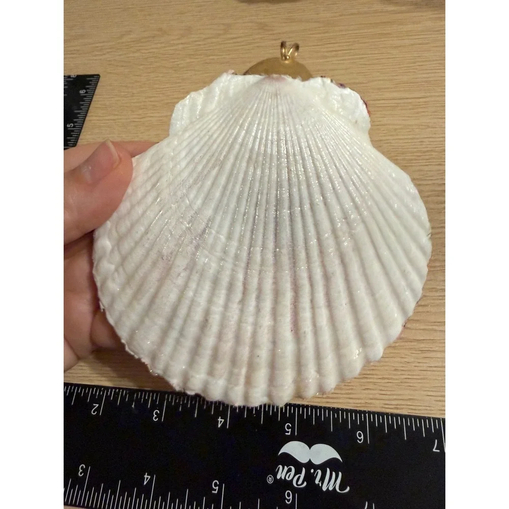Handmade Decoupage Scallop Shell Trinket Tray Cameo Gold‎ Tone Accent 4.5